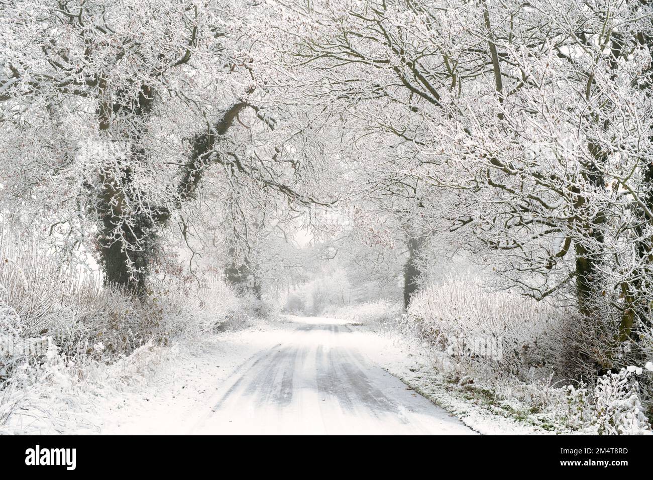 Campagne du Warwickshire dans la neige d'hiver. Cotswolds, Warwickshire, Angleterre Banque D'Images