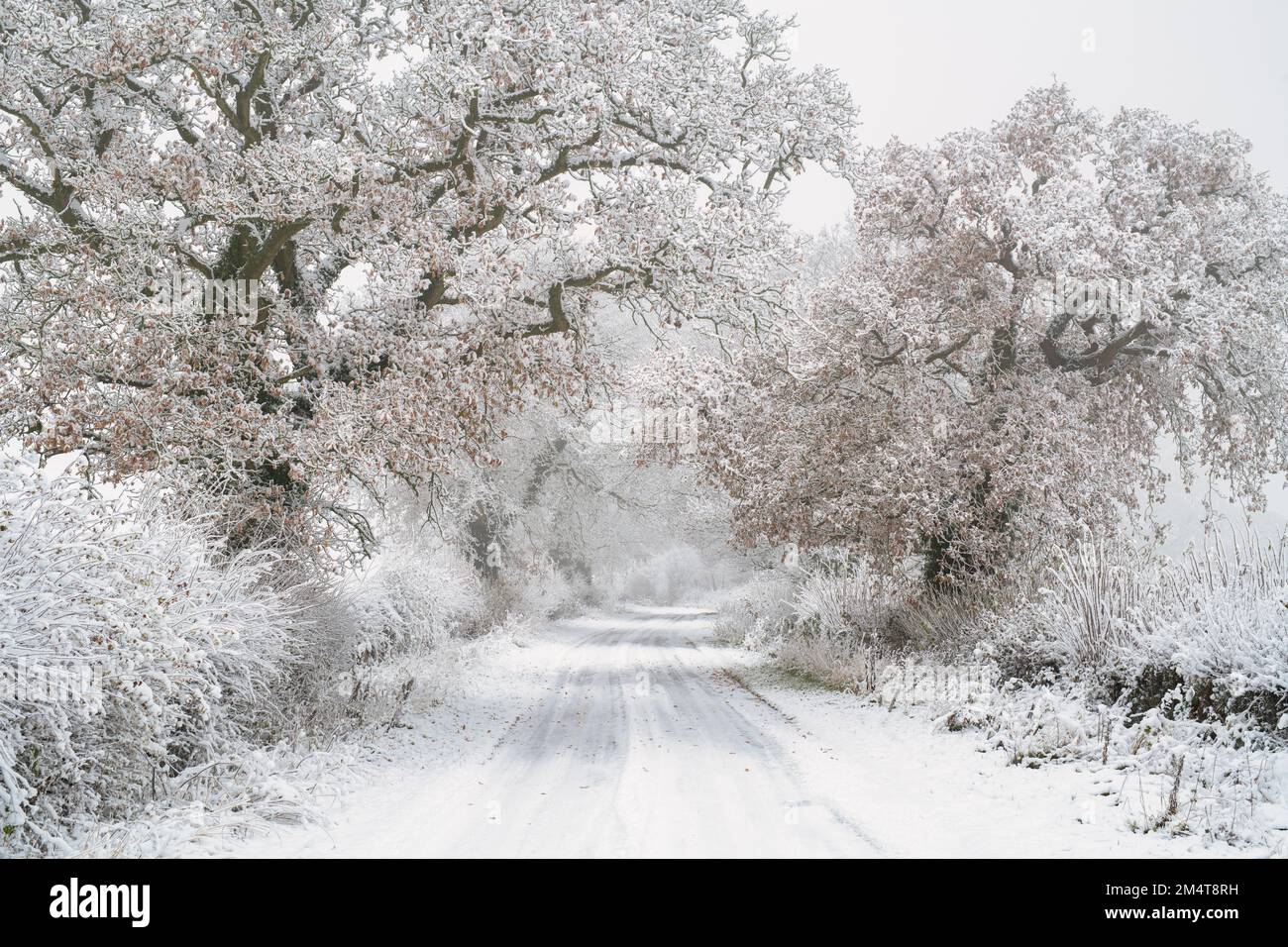 Campagne du Warwickshire dans la neige d'hiver. Cotswolds, Warwickshire, Angleterre Banque D'Images