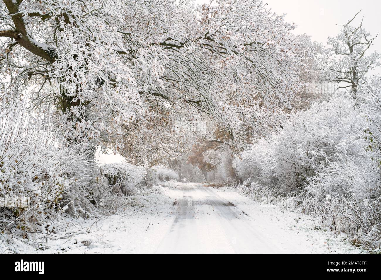 Campagne du Warwickshire dans la neige d'hiver. Cotswolds, Warwickshire, Angleterre Banque D'Images