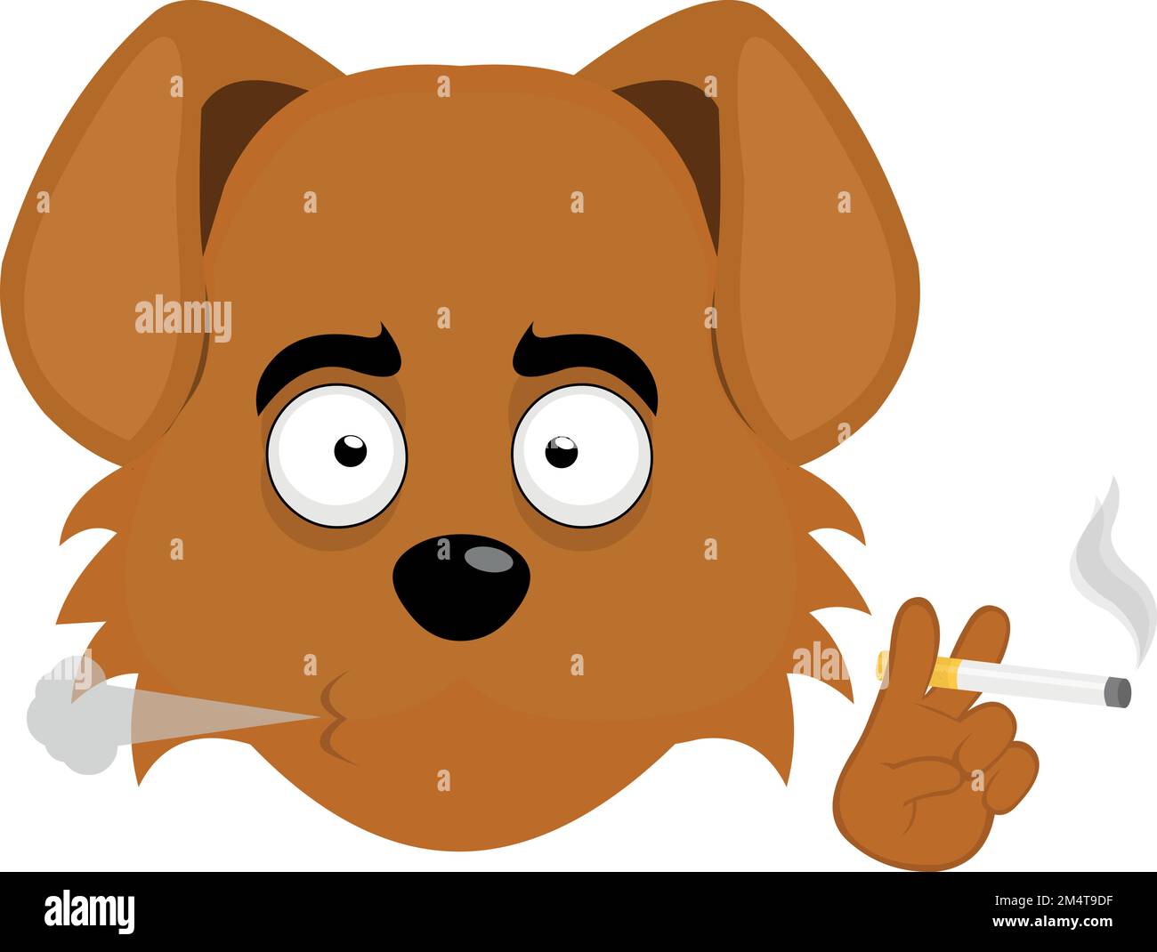 Caniche qui fume main image 0