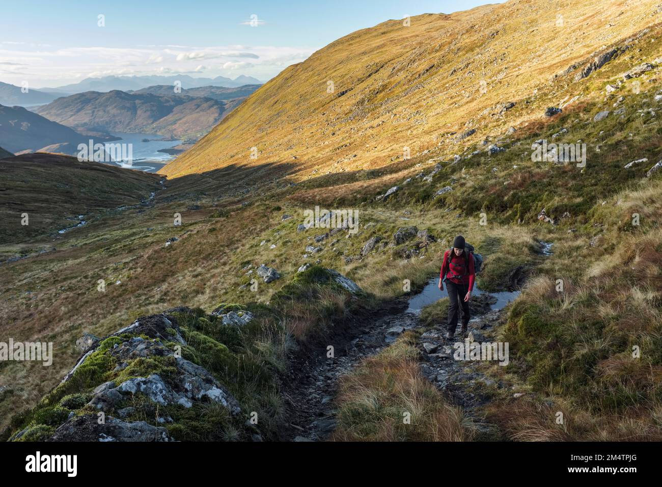 Femme randonnée dans les Highlands près du Loch long. Banque D'Images