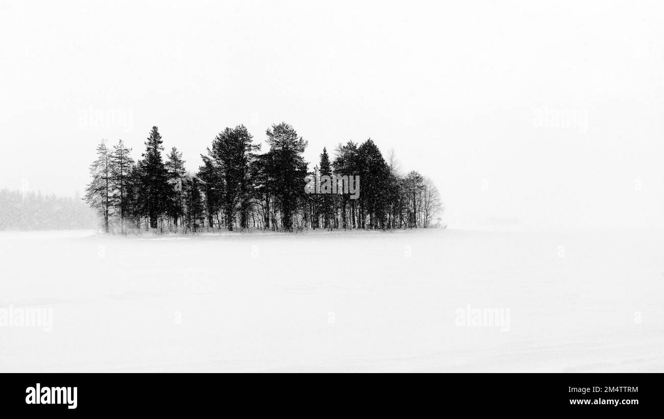 Paysage de neige en Laponie finlandaise Banque D'Images