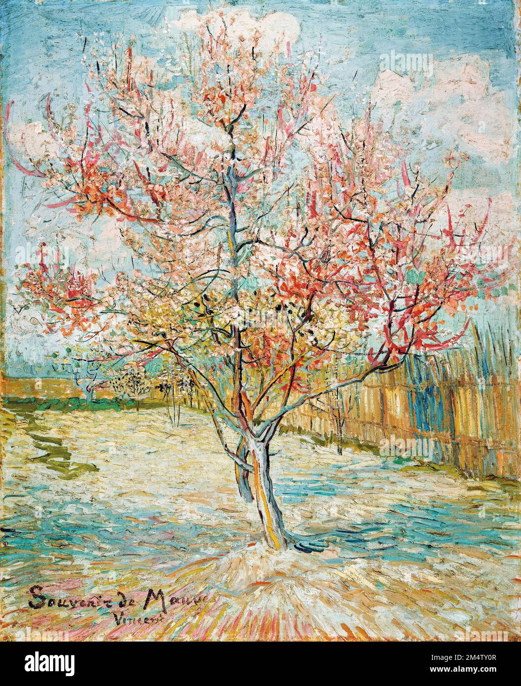Vincent van Gogh, pêche rose (souvenir de mauve), peinture à l'huile sur toile, 1888 Banque D'Images