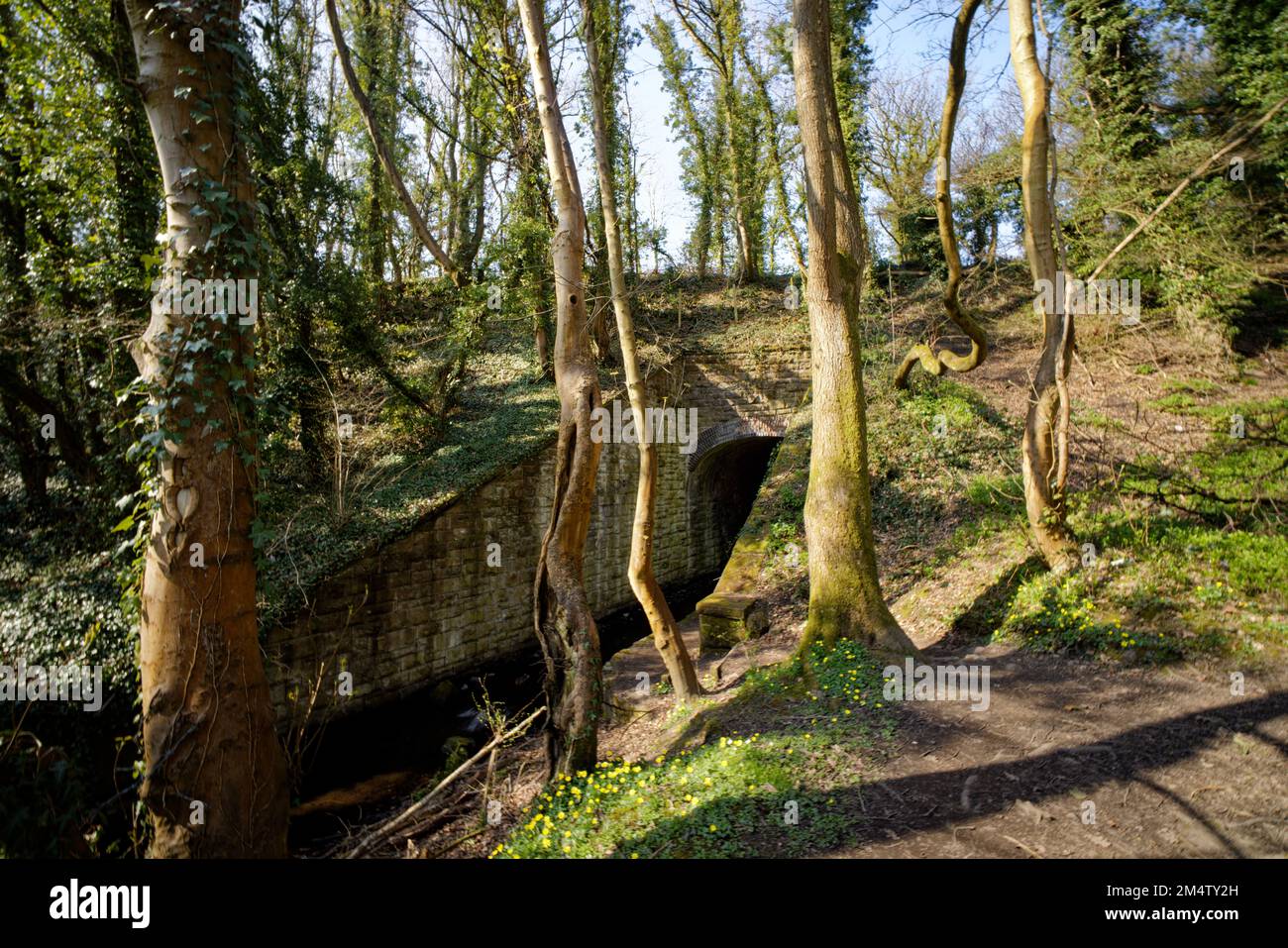 Le tunnel du parc Moss Valley, Brynteg, Wrexham, pays de Galles du Nord, Royaume-Uni Banque D'Images