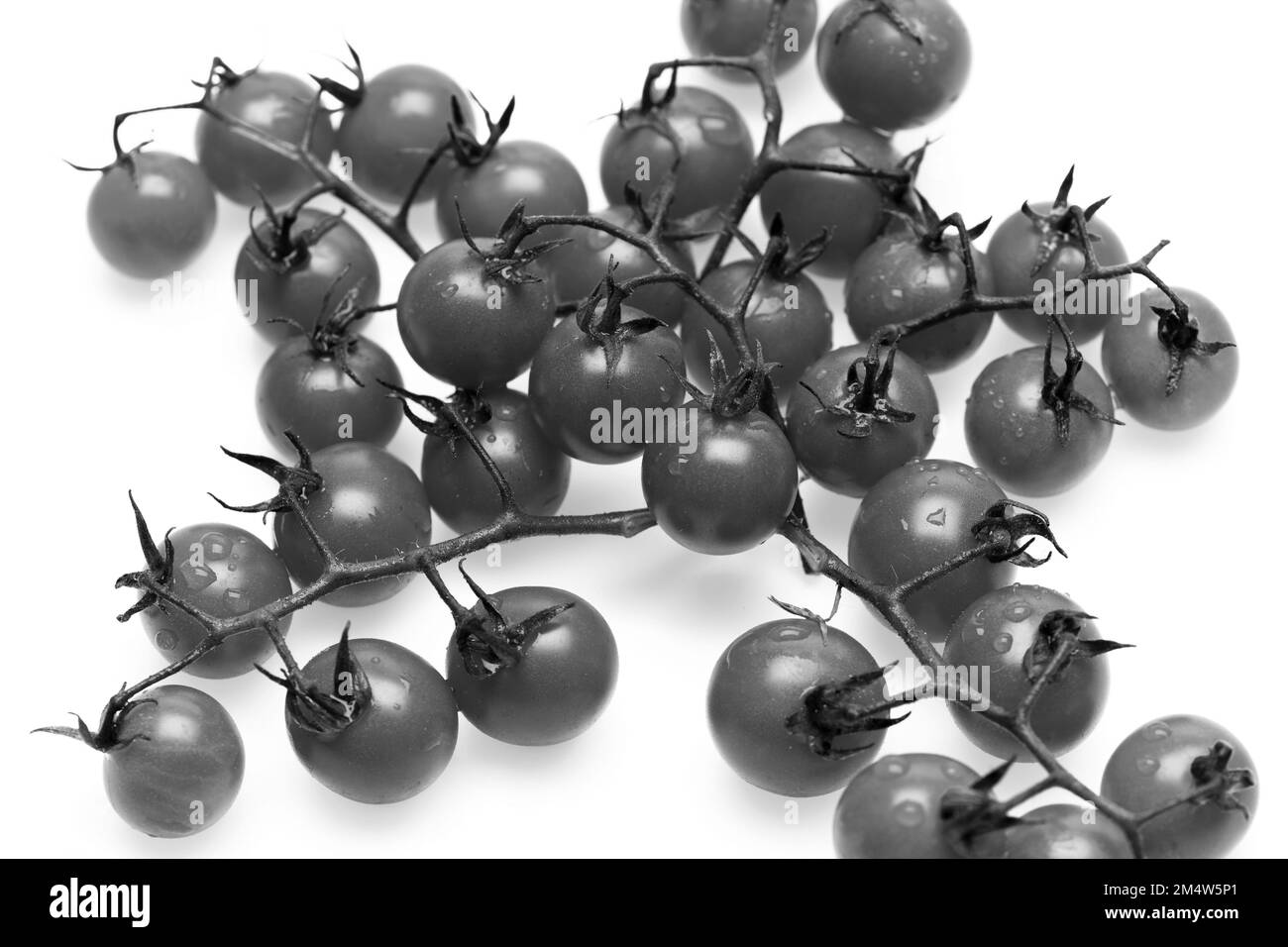 Légumes et régime végétarien concept. Bouquet de tomates cerises Banque D'Images