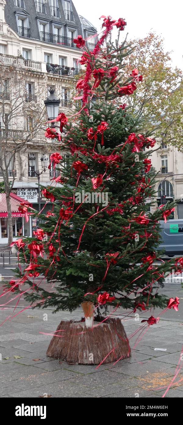 Un sapin déjà mis devant l'église saint Vincent de Paul, Paris 10 Banque D'Images