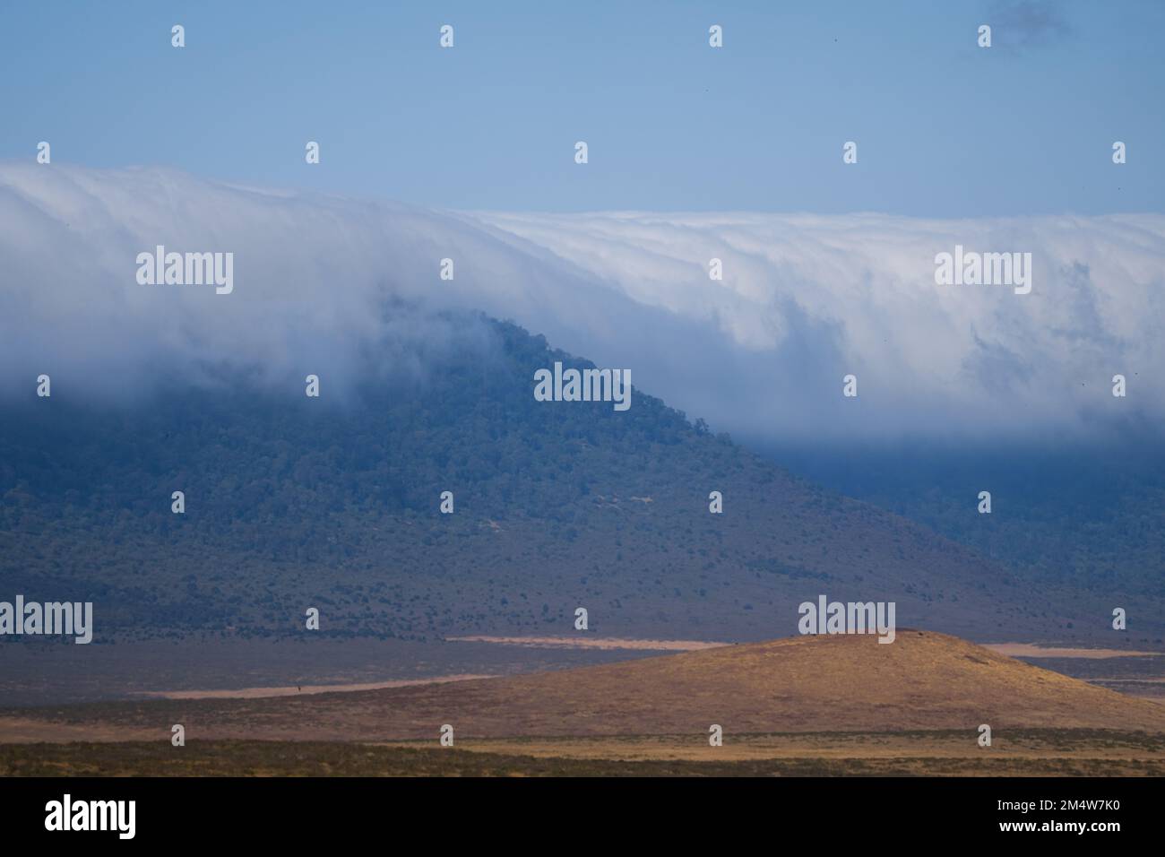 Zone de conservation du cratère de Ngorongoro Tanzanie Banque D'Images