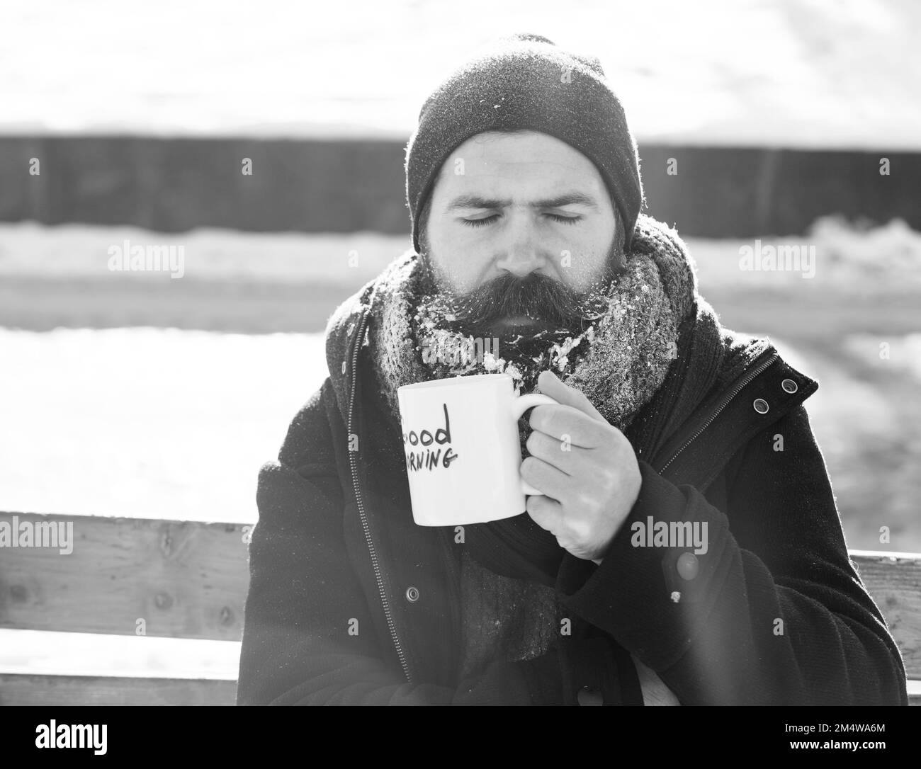 Grenouille, hipster barbu avec barbe et moustache recouvert de boissons blanches gelées de la tasse avec texte du matin assis sur un banc de bois sur neige Banque D'Images Grenouille, hipster barbu avec barbe et moustache recouvert de boissons blanches gelées de la tasse avec texte du matin assis sur un banc de bois sur neige Banque D'Images