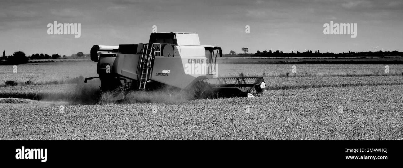 Une moissonneuse-batteuse Claas près de la ville de Wisbech ; Cambridgeshire ; Angleterre ; Royaume-Uni Banque D'Images
