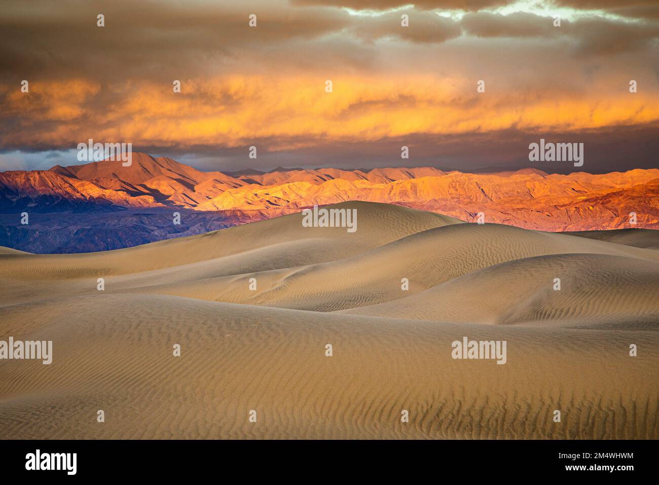 Dunes de sable de Mesquite Flat, Vallée de la mort, Californie. Banque D'Images