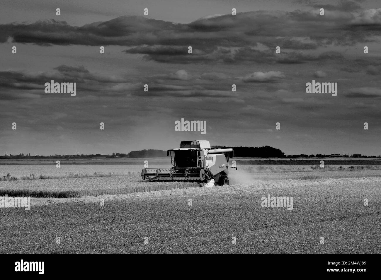 Une moissonneuse-batteuse Claas près de la ville de Wisbech ; Cambridgeshire ; Angleterre ; Royaume-Uni Banque D'Images