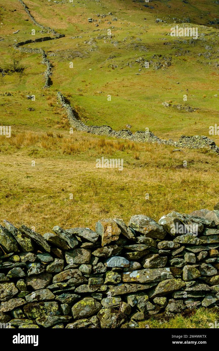 De vastes vieux murs de pierre sèche dessèchent les flancs de colline vus le long de la passe de Whinlatter près de Braithwaite, Cumbria, Royaume-Uni Banque D'Images