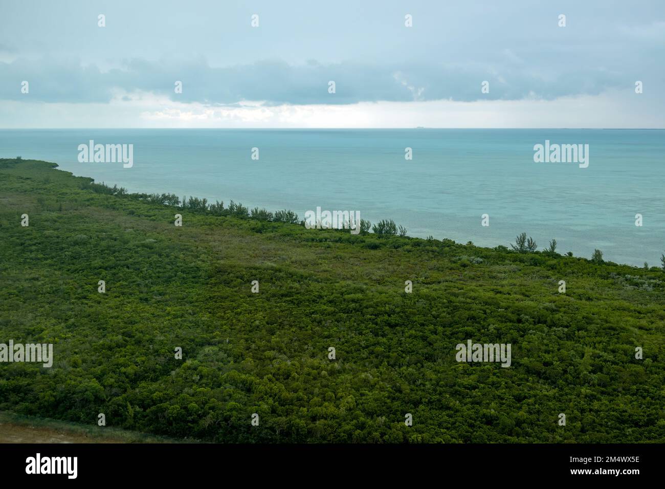 Une vue aérienne de la côte de South Bimini, Bahamas Banque D'Images