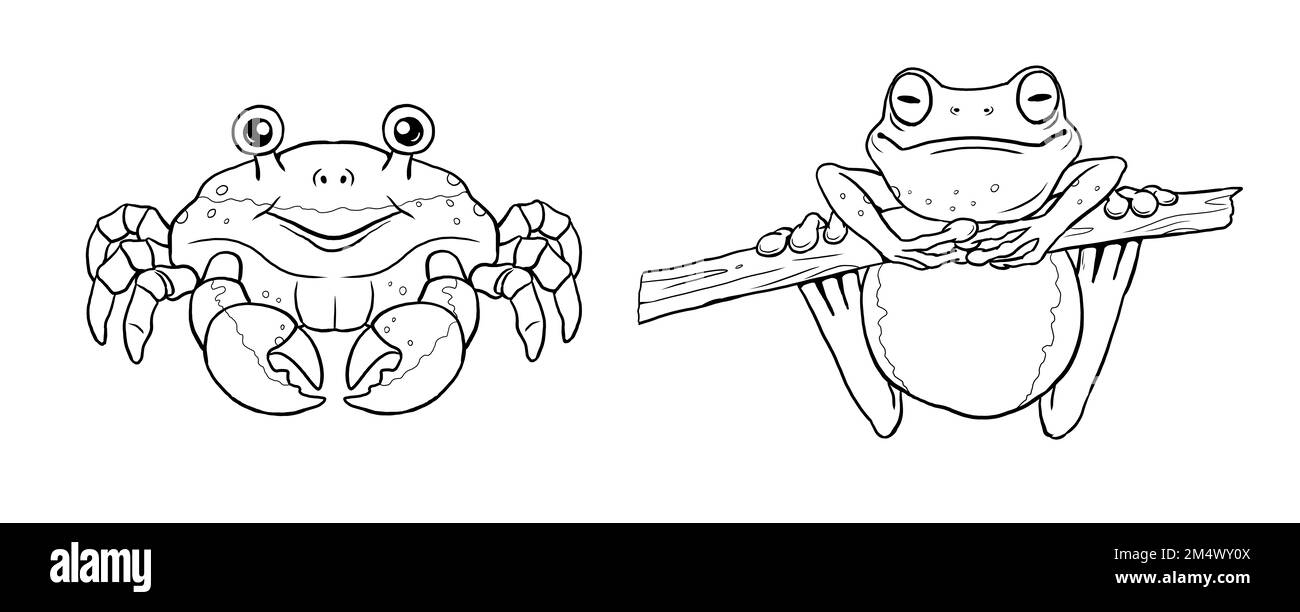 Le joli crabbe et la grenouille de l'arbre à colorer. Modèle pour un livre de coloriage avec des animaux amusants. Modèle de coloriage pour enfants. Banque D'Images