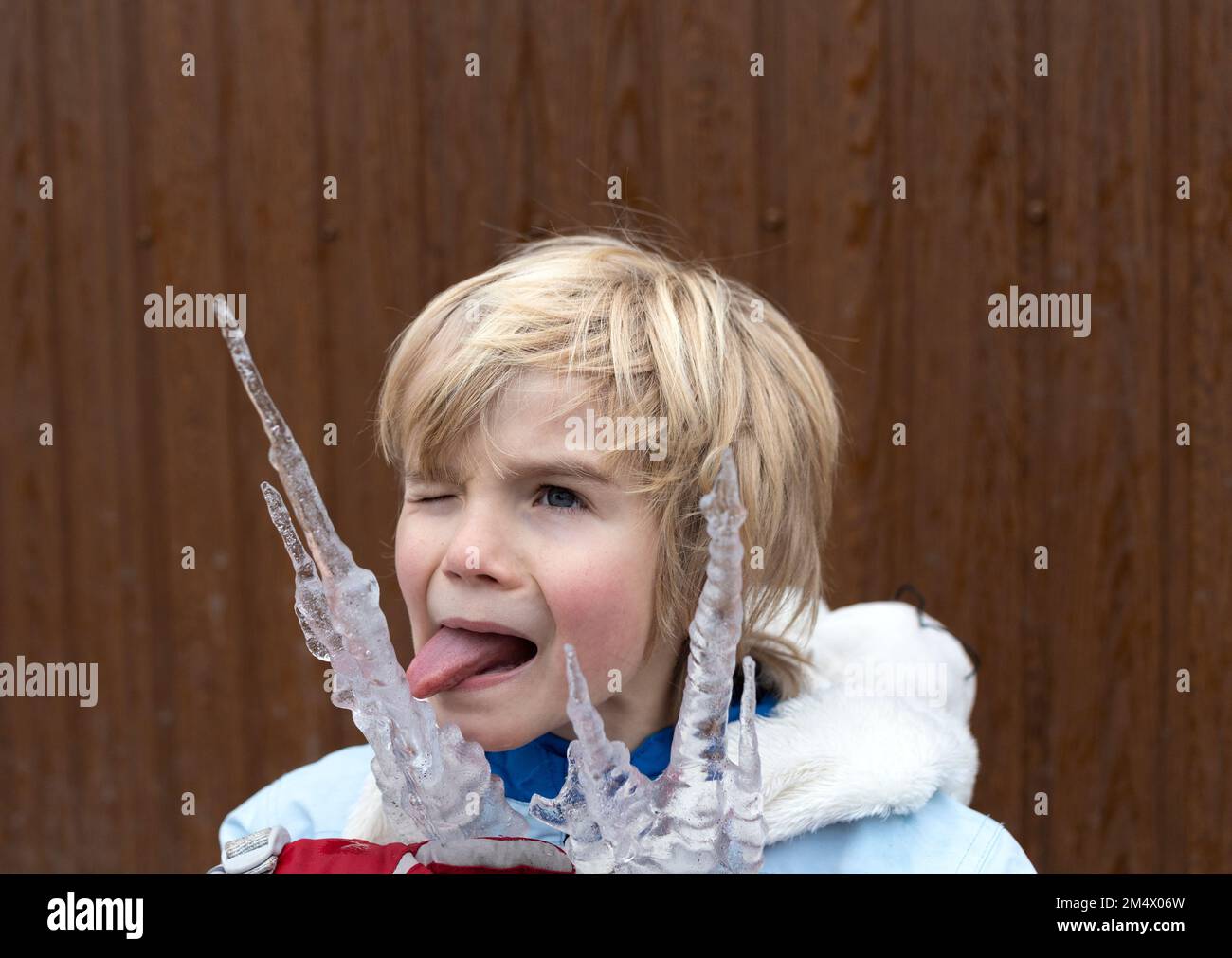 mignon garçon - un pré-chooler léchant une longue glace avec sa langue. Promenades hivernales gaies, enfance intéressante. Temps froid. Goûtez la glace. Love W. Banque D'Images