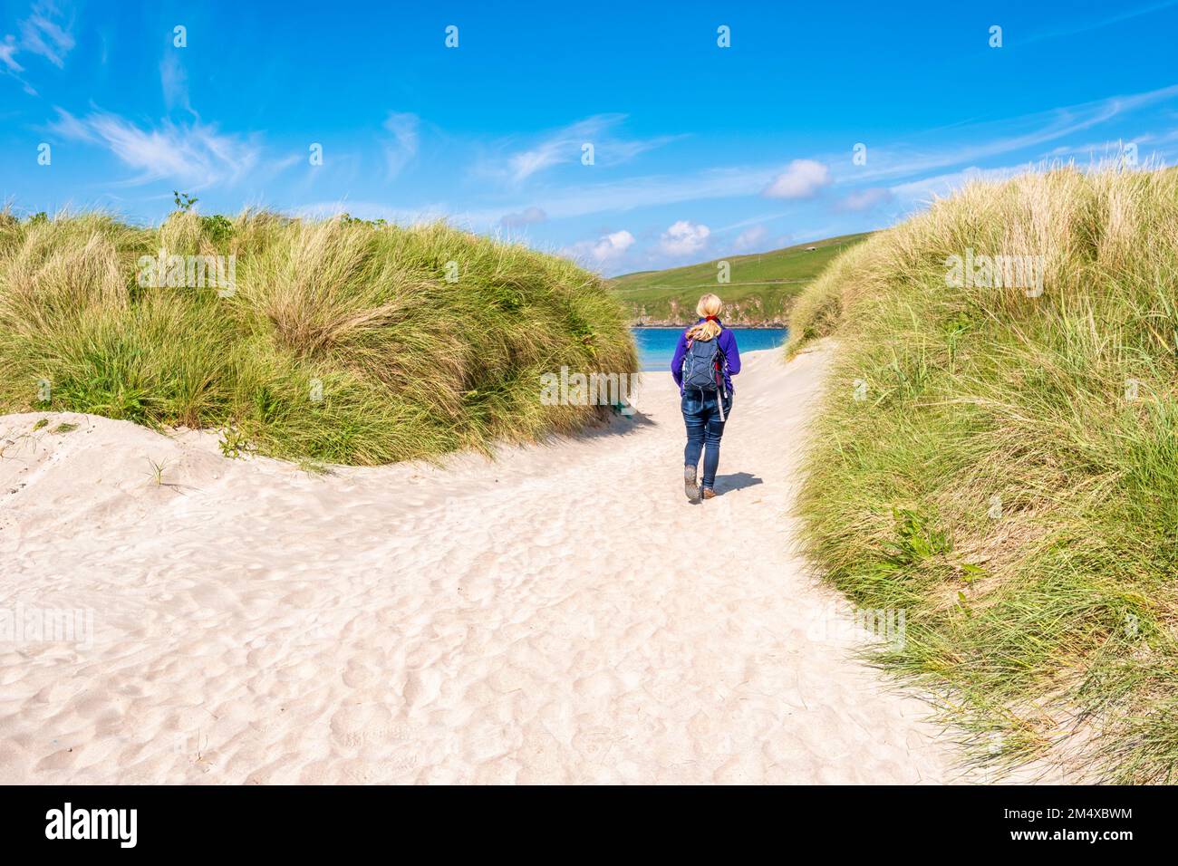 Royaume-Uni, Écosse, marcheur féminin marchant entre les dunes herbeuses de Scousburgh Sands Banque D'Images