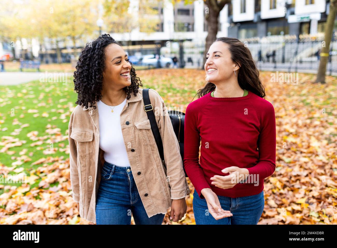 Des amis multiraciaux souriants se promenant ensemble dans le parc d'automne Banque D'Images Des amis multiraciaux souriants se promenant ensemble dans le parc d'automne Banque D'Images