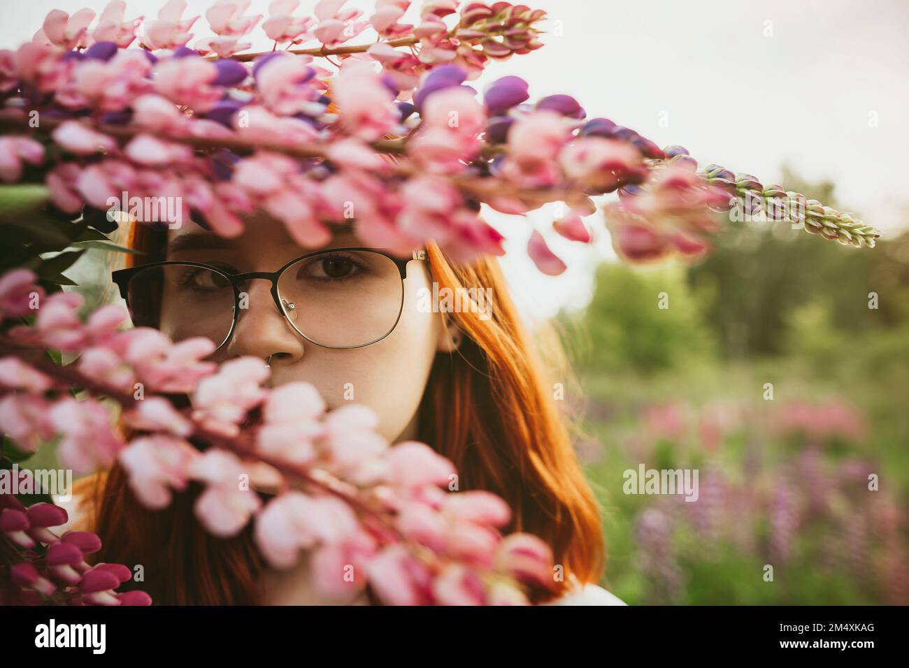 Adolescente portant un bouquet de fleurs de lupin sur le visage Banque D'Images