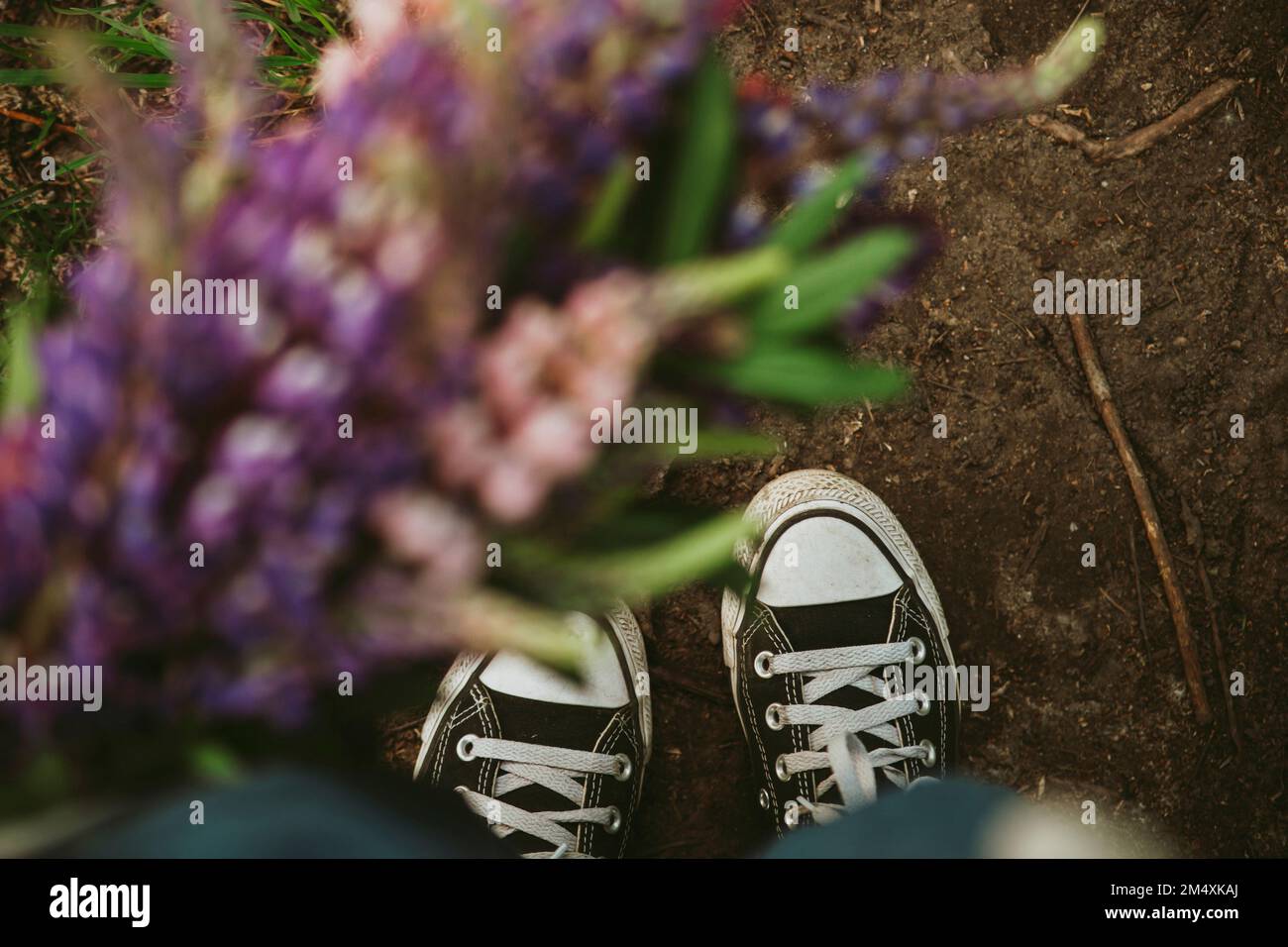 Fille portant des chaussures en toile debout avec des fleurs lupin Banque D'Images