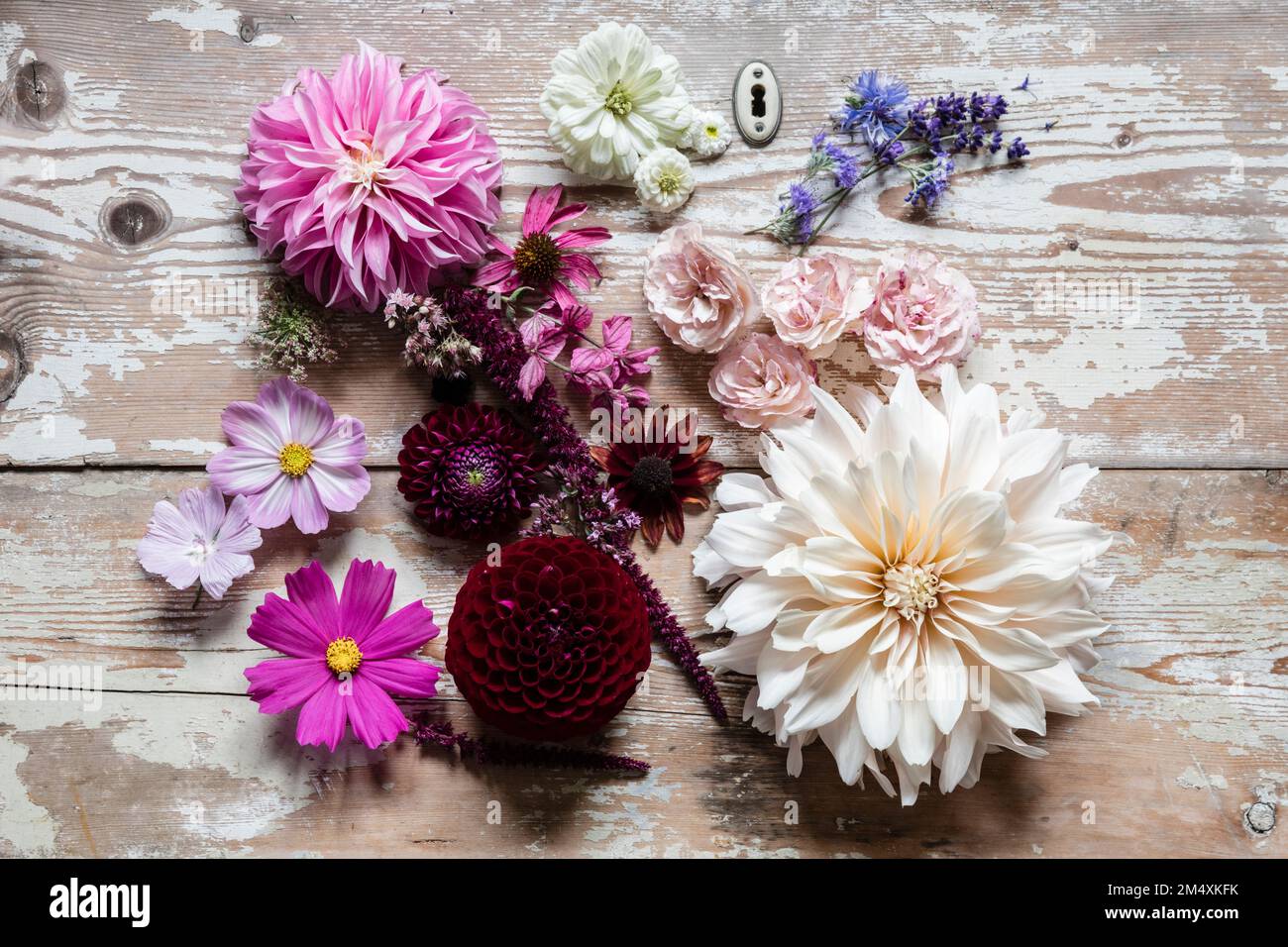 Différentes fleurs plates posées sur une surface en bois Banque D'Images