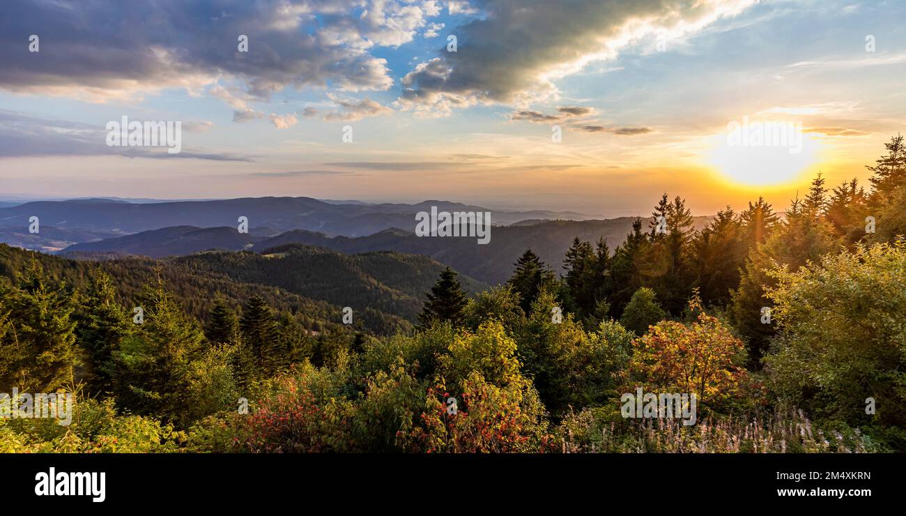 Allemagne, Bade-Wurtemberg, paysage du parc national de la Forêt-Noire au coucher du soleil Banque D'Images