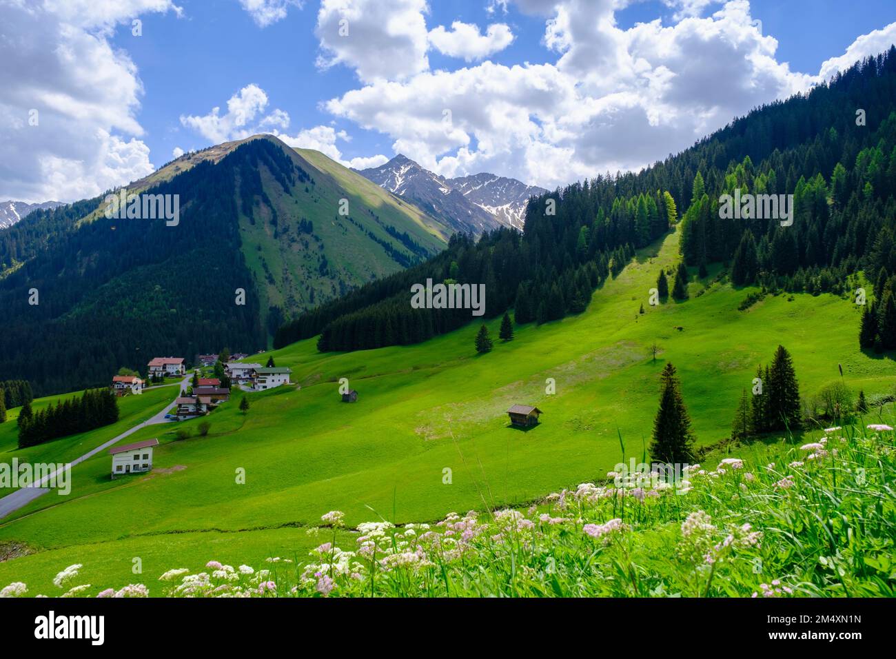 Autriche, Tyrol, Berwang, vue sur la vallée de montagne verte en été Banque D'Images
