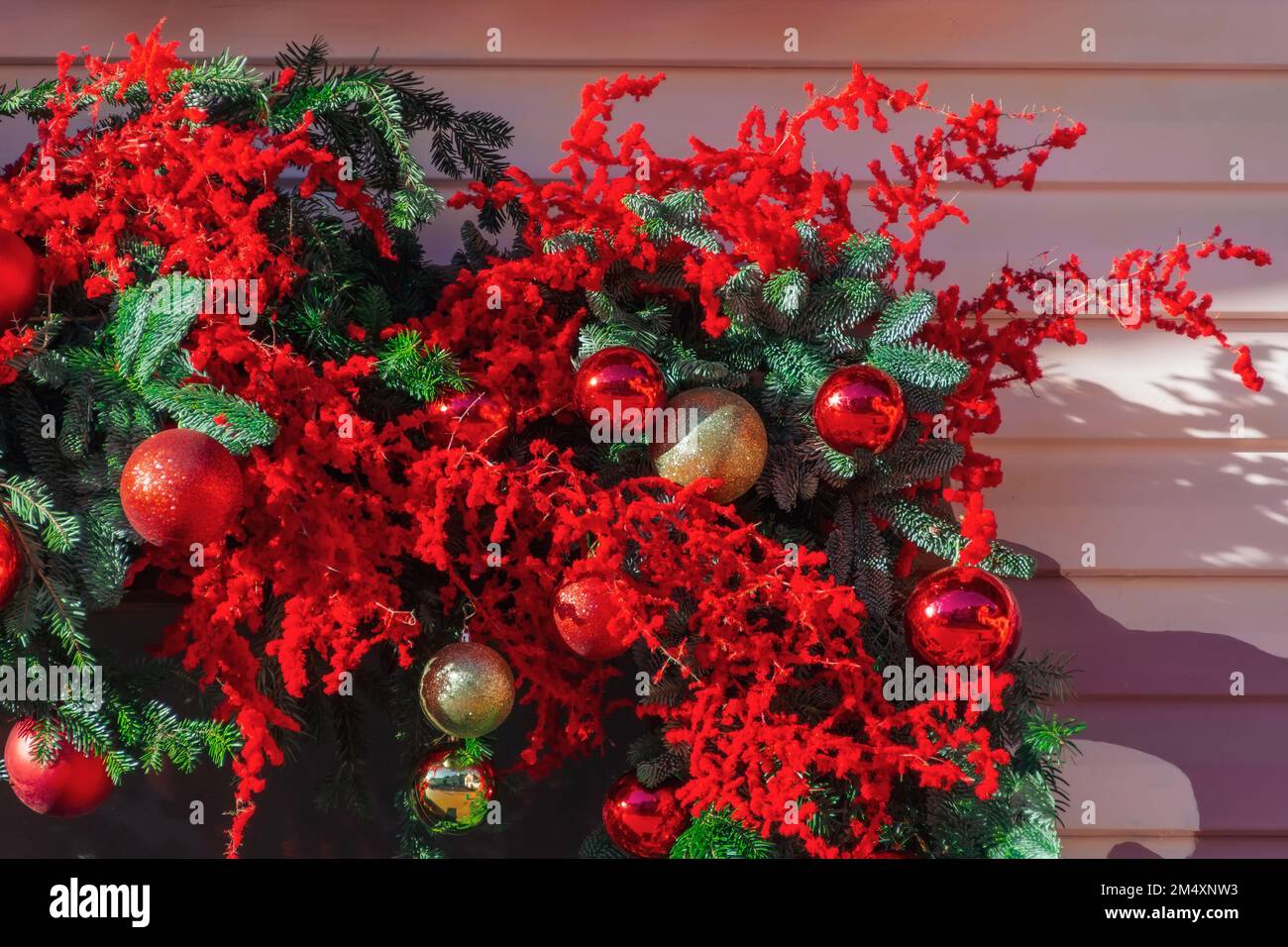 Branches d'épicéa décorées de boules de Noël et de fleurs rouges poinsettia étoile de Noël Banque D'Images