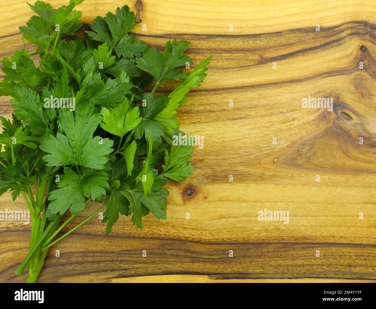 Un bouquet de persil frais sur une planche de cuisine. Vue de dessus des brins de persil. Herbes épicées pour la cuisine. bouquet de feuilles de persil vert sur une surface en bois Banque D'Images