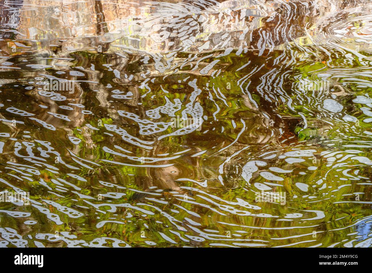 Motifs de mousse dans la piscine de Foucault, la rivière Sand, parc provincial du lac supérieur, la rivière Sand, Ontario, Canada Banque D'Images