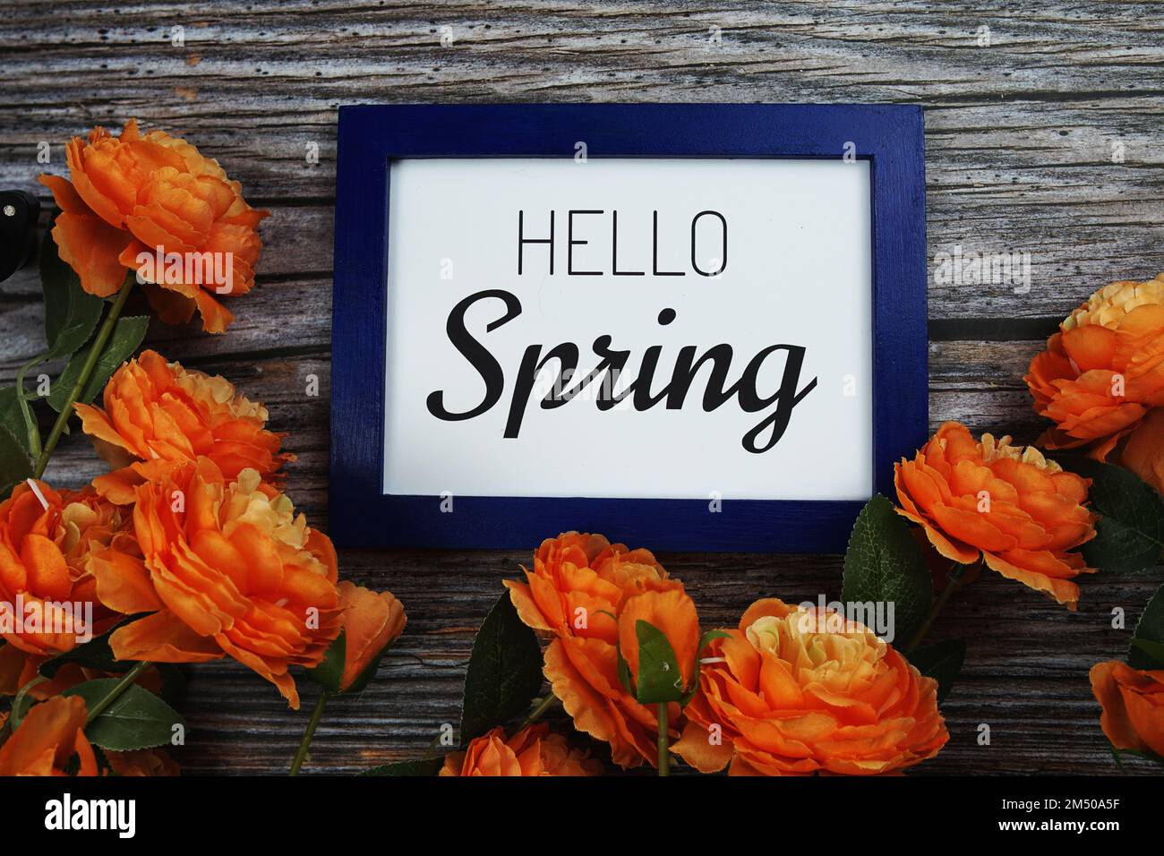 Hello Spring texte en bordure bleue avec décoration florale sur fond de bois Banque D'Images