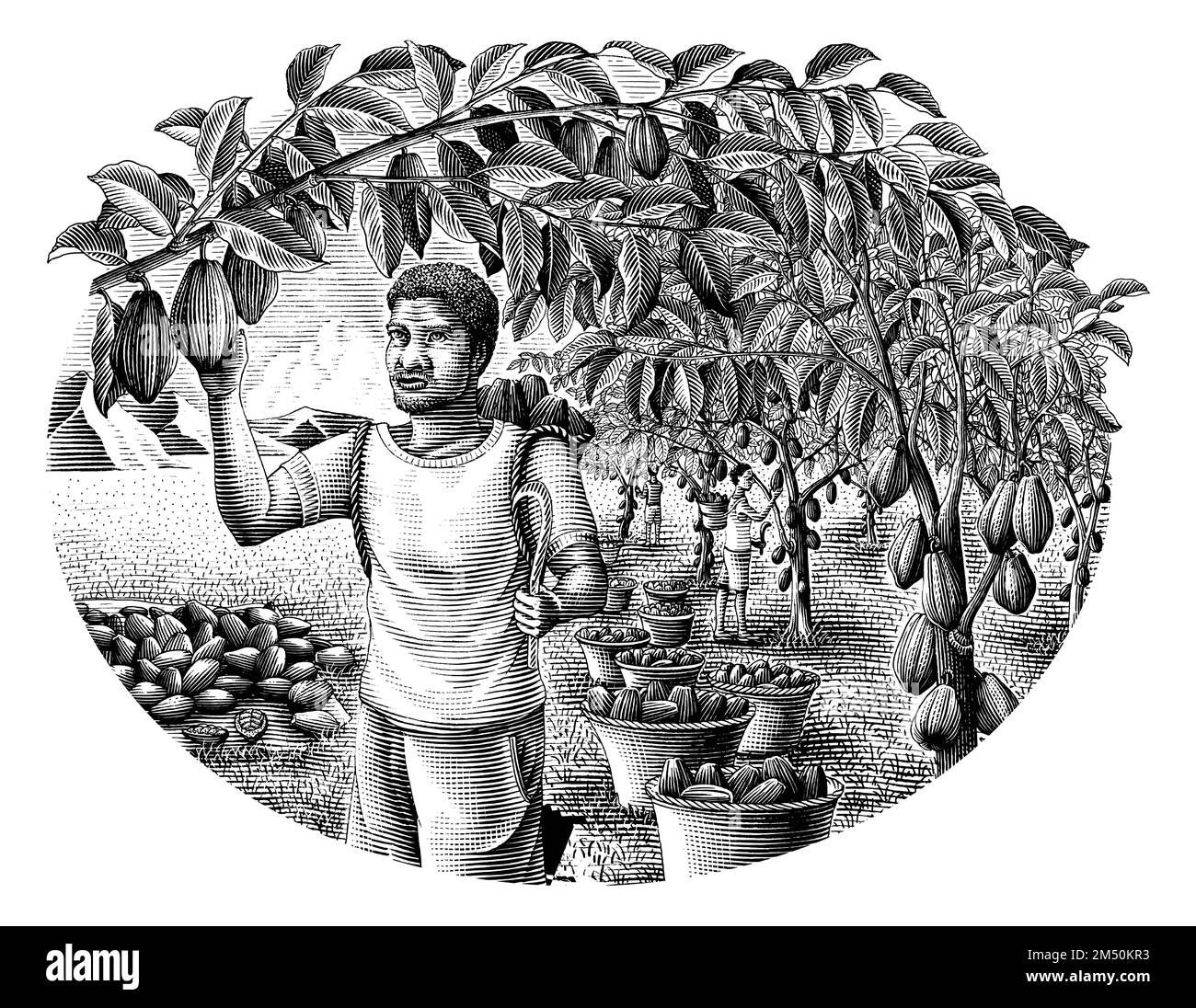 Agriculteur avec dessin à la main cacao gravure style clip art Illustration de Vecteur
