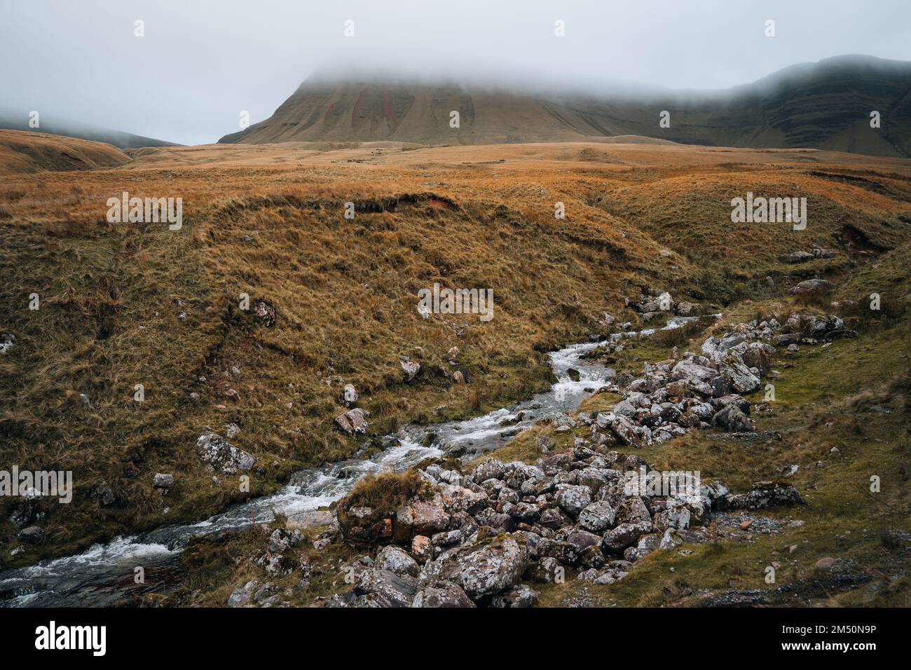 Parc national de Brecon Beacons. Courant descendant de Llyn y Fach. Pays de Galles du Sud, Royaume-Uni. Banque D'Images