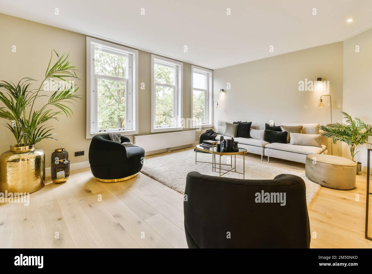 un salon avec deux canapés et une grande plante au centre de la pièce il y a un tapis blanc sur le sol Banque D'Images