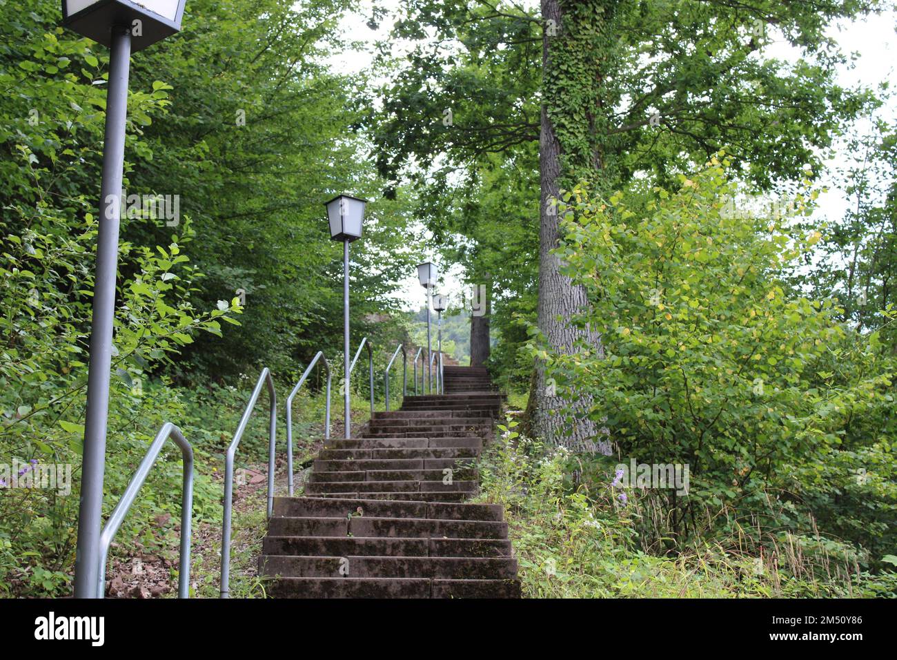 Nature, automne, paysage, ville, verdure Banque D'Images