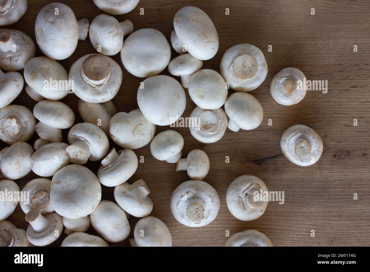 Champagnes blancs, champignons frais sur la table. Banque D'Images