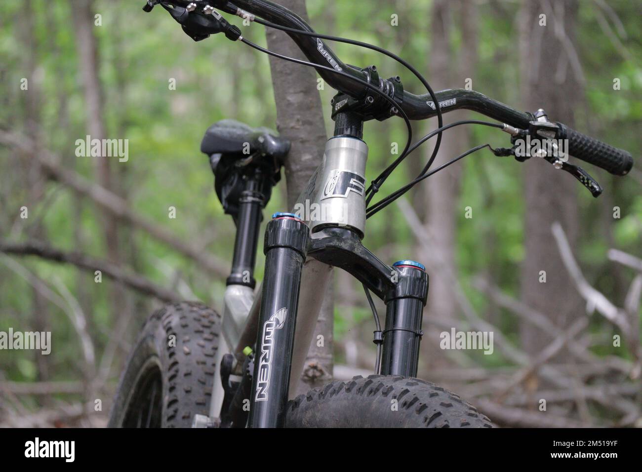 Un vélo de montagne de Mutz avec la fourche de wren avec une forêt verte dans le fond flou Banque D'Images