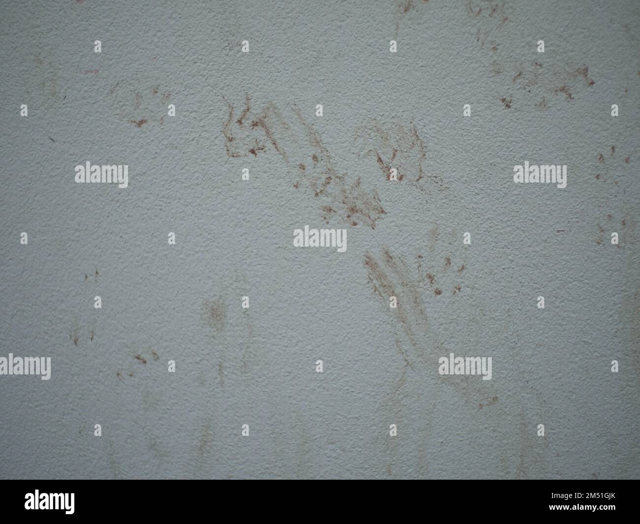 Les empreintes du chat sur le mur Banque D'Images
