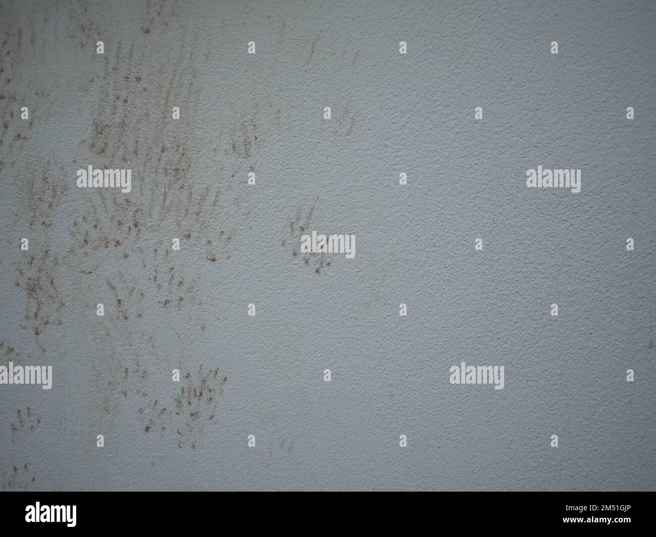 Les empreintes du chat sur le mur Banque D'Images