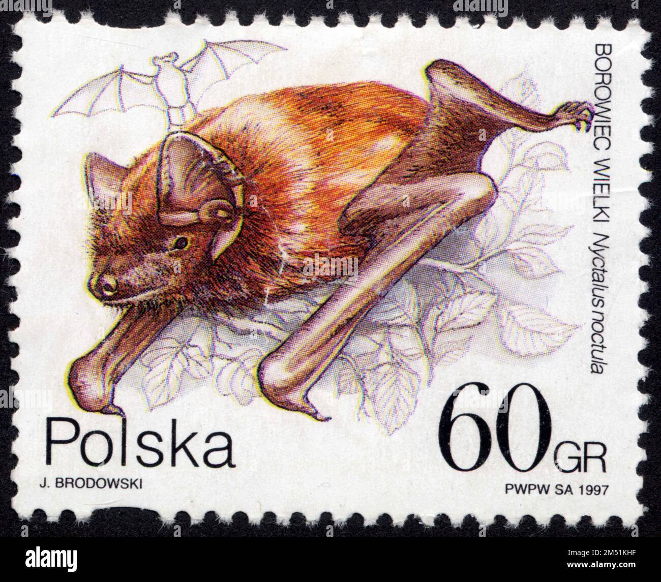 TIMBRE NON OBLITÉRÉ POLSKA. BOROWIEC WIELKI. NYCTALUS NOCTULA. 1997. 60 GR Banque D'Images