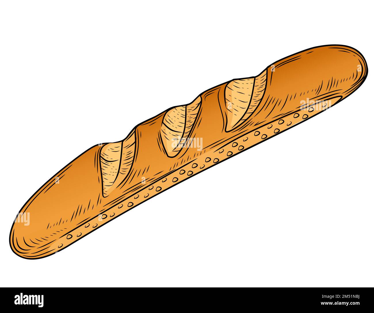 Illustration vectorielle de style baguette fraîche et savoureuse à la main isolée sur fond blanc Illustration de Vecteur