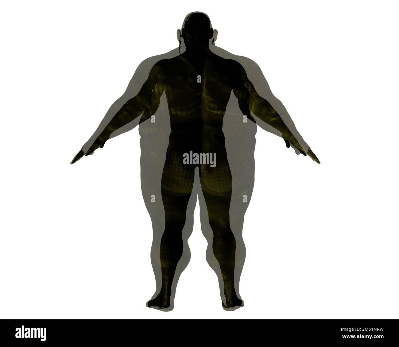 3D rendu. Homme sportif à l'intérieur d'un corps obèse sur fond blanc. Copier l'espace. Banque D'Images