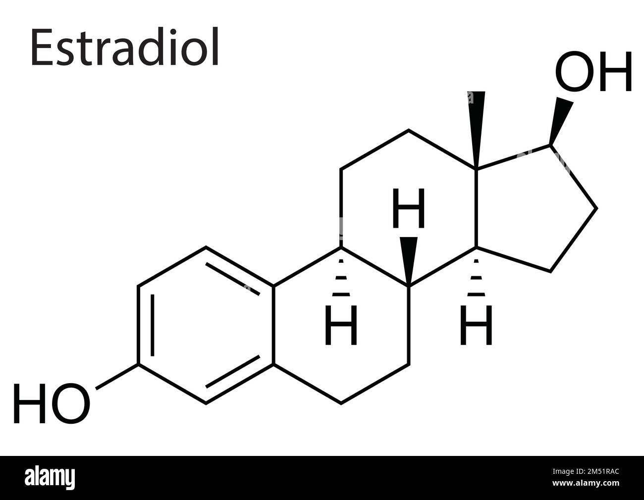 Vecteur de structure moléculaire du stéroïde humain Estradiol Illustration de Vecteur