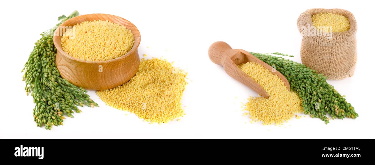 Millet dans bol en bois avec des épillets vert isolé sur fond blanc Banque D'Images