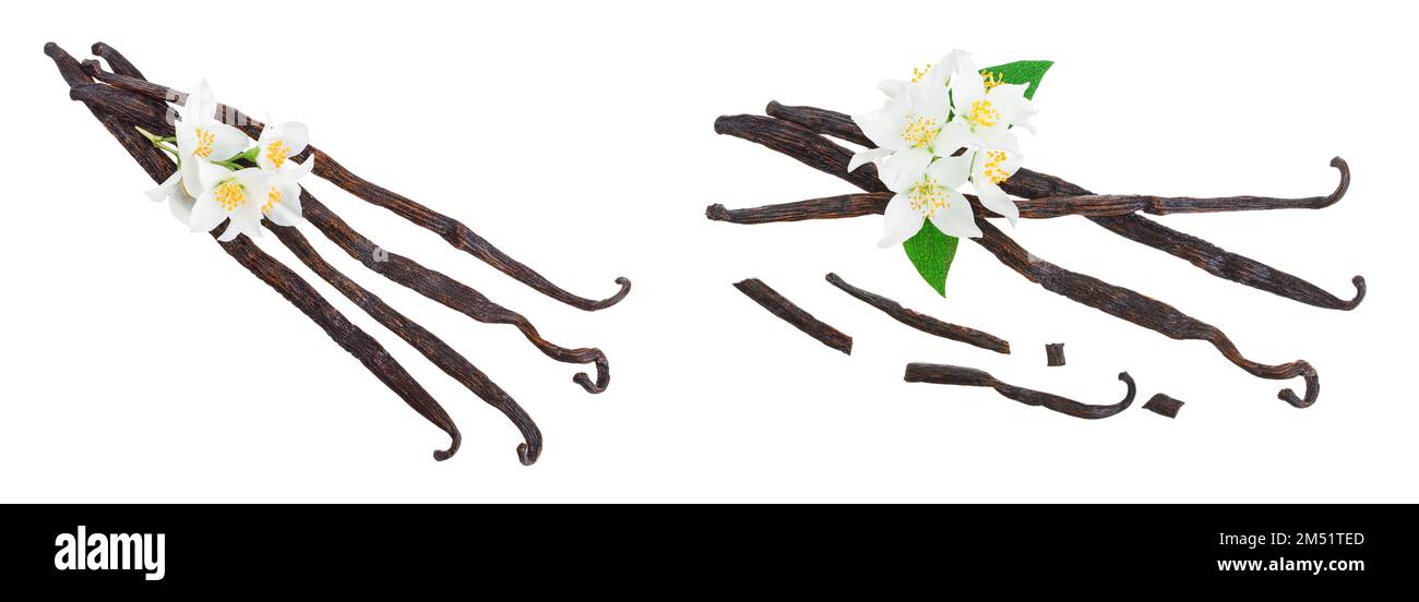 Bâtons de vanille avec flower isolated on white background. Vue d'en haut. Mise à plat Banque D'Images