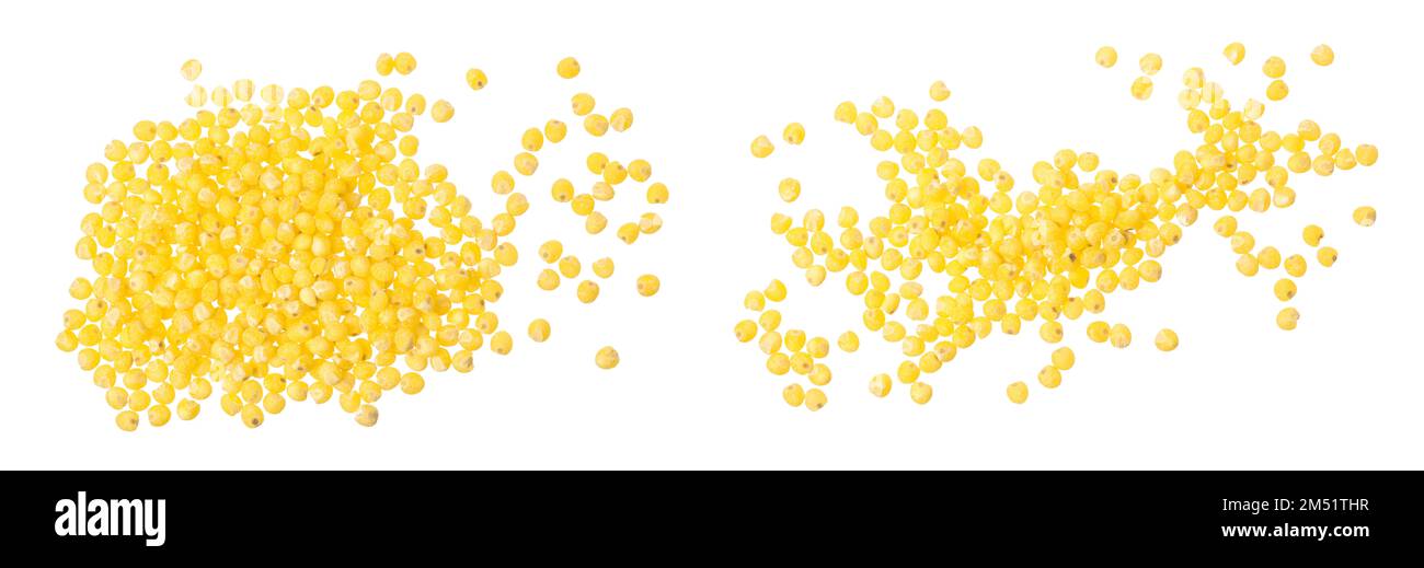 Millet isolé sur fond blanc. Vue d'en haut Banque D'Images