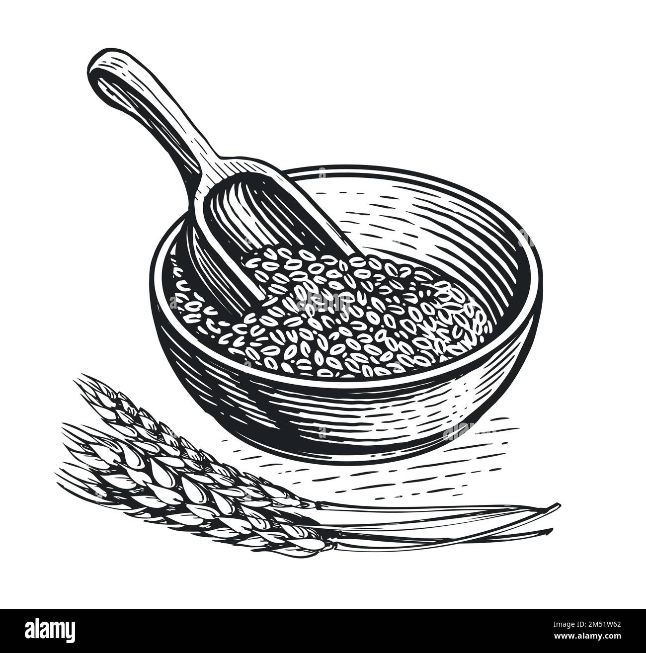 Alimentation saine. Bol de bouillie de petit déjeuner de style esquisse. Grains d'orge, pelle en bois et épis de blé. Vecteur vintage Illustration de Vecteur