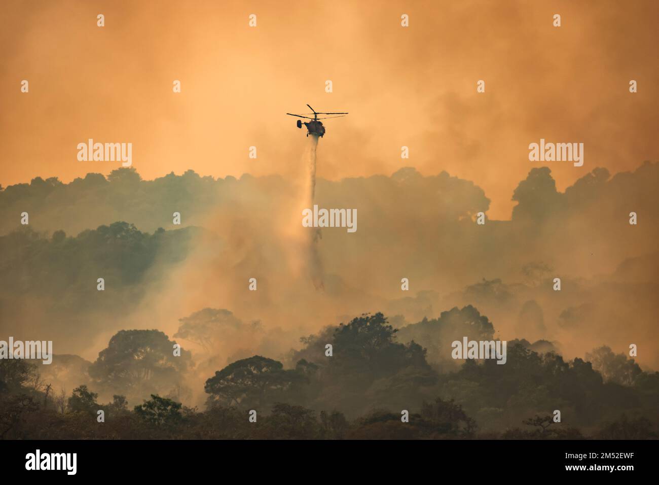 Incendie d'un hélicoptère qui larde de de l'eau sur un feu de forêt Banque D'Images