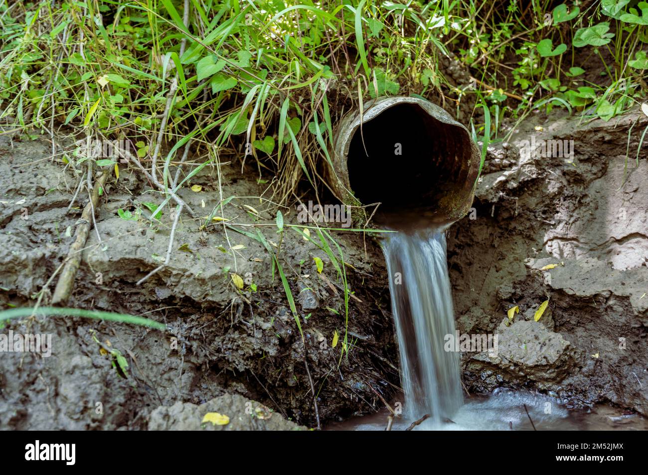 Eau s'écoulant de la sortie ouverte d'un carreau de drainage agricole métallique Banque D'Images