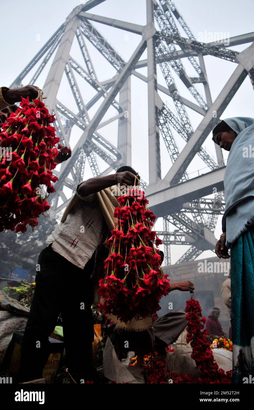Mallick Ghat est l'un des plus grands marchés de fleurs en Asie. Scènes tôt le matin au marché de Kolkata, Bengale-Occidental, Inde. Banque D'Images