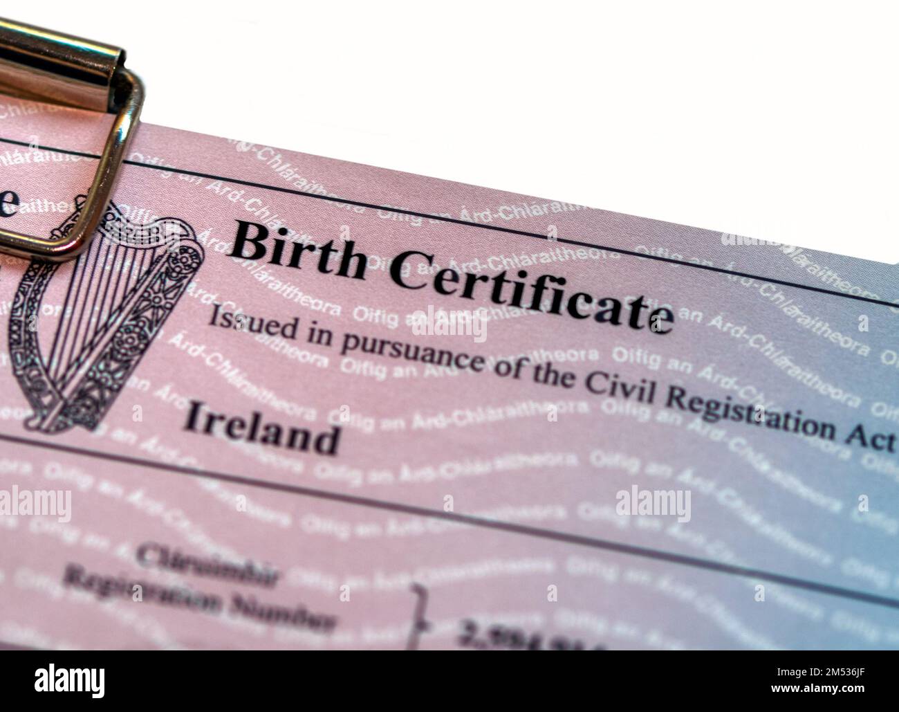 certificat de naissance irlande, Banque D'Images